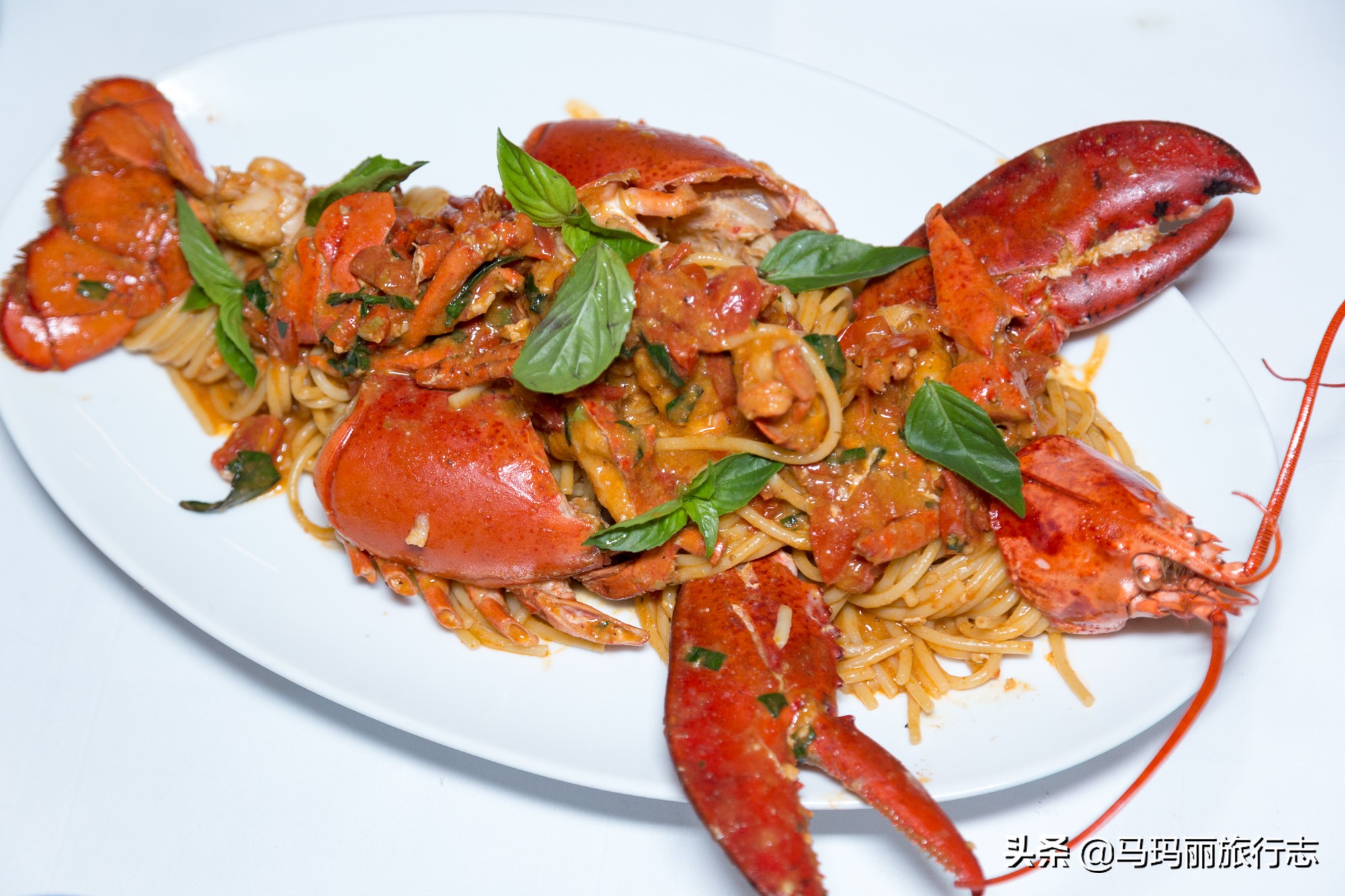 上海虹桥铂瑞酒店攻略,上海虹桥绿地铂骊酒店到外滩