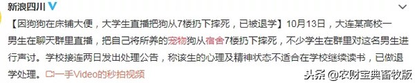 大学生宿舍养猪被发现遭通报批评,大学宿舍养猪