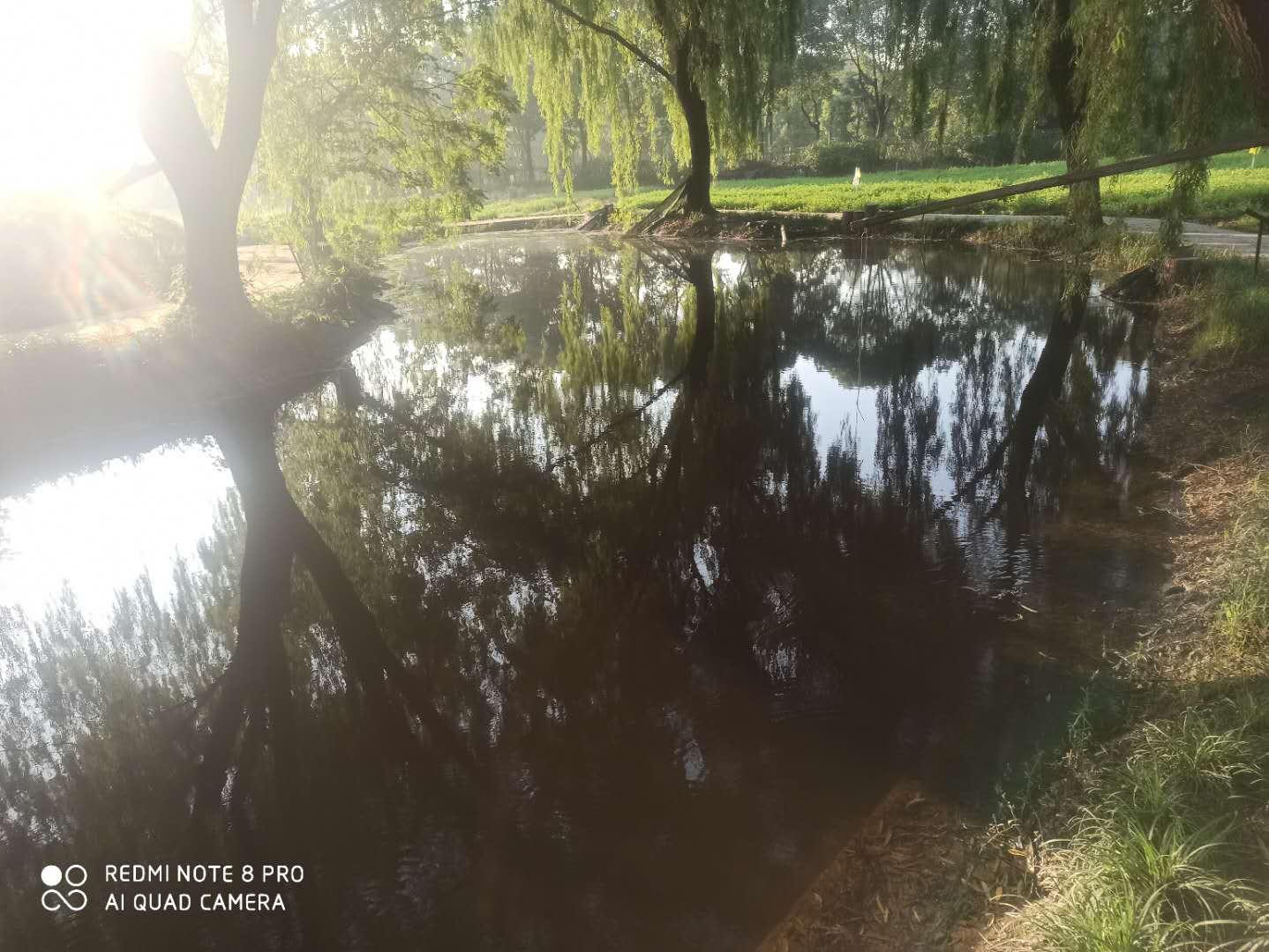 新大洲本田cbf125小战鹰改装,新大洲本田cbf125小战鹰是电喷吗