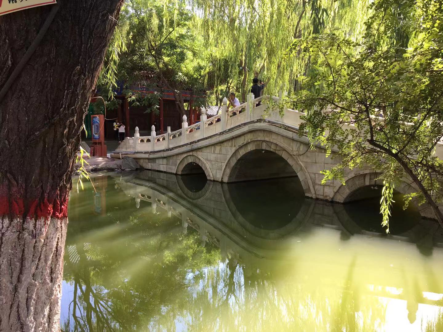 宁夏慢节奏生活,宁夏中卫是什么级别的城市