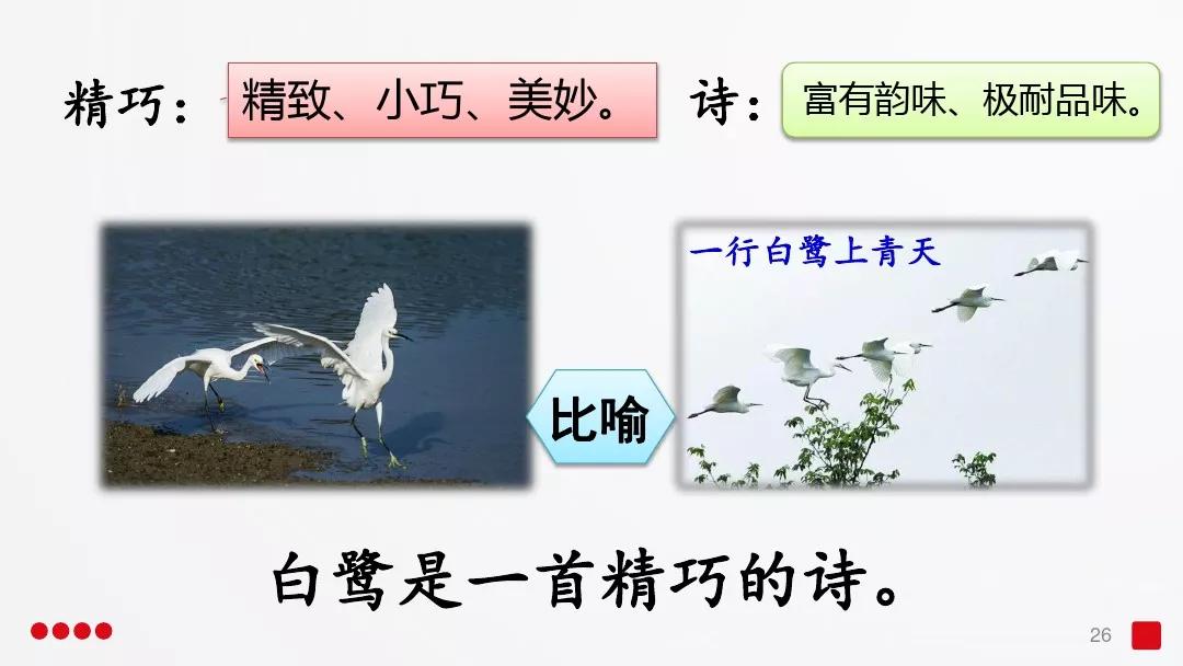 五年级部编版语文白鹭讲课视频,部编小学语文五年级上册白鹭课件