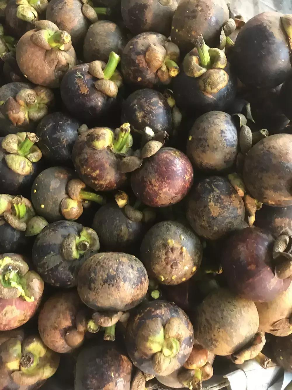 泰国印象之吃和冬阴功汤