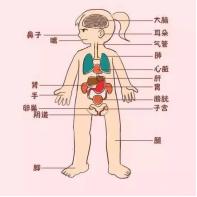 十岁男孩书店里猥亵五岁女童：缺失的性教育