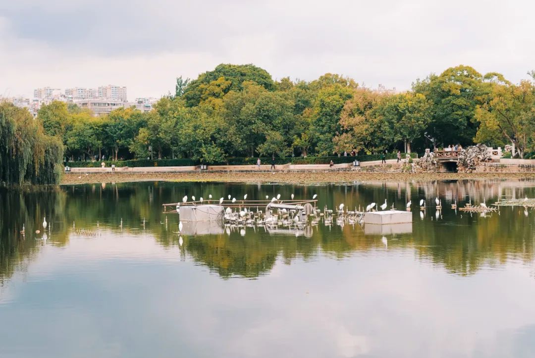 云南的国宾馆,昆明国宾馆