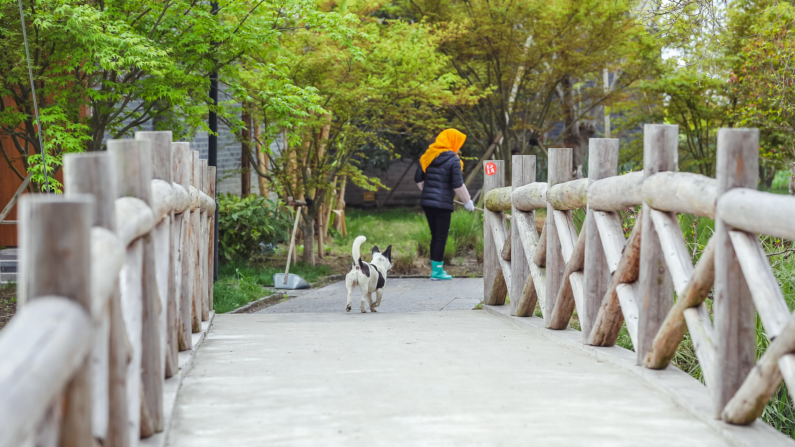 兴化三日游自驾游路线,去兴化看油菜花海攻略