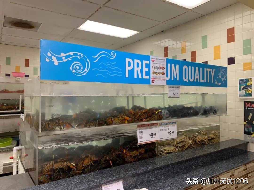 美国确诊超481万,美国确诊病例超115万例