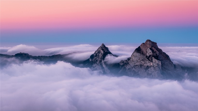 2024年放弃新欢追回旧爱的星座,面对旧爱能做到不纠缠的星座