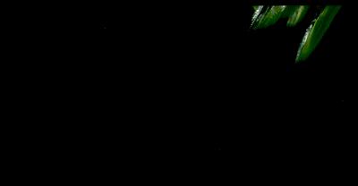 十堰特色美食餐厅推荐菜品,十堰美食推荐排行榜夜市