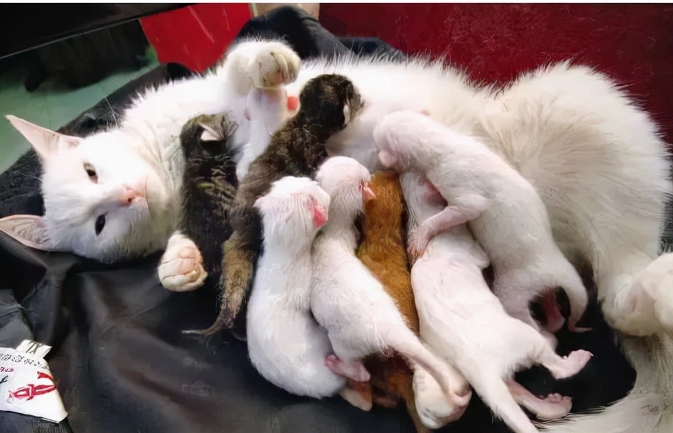 轻松祛斑根本不可能！找准原因长期坚持，才能将它逐步淡化