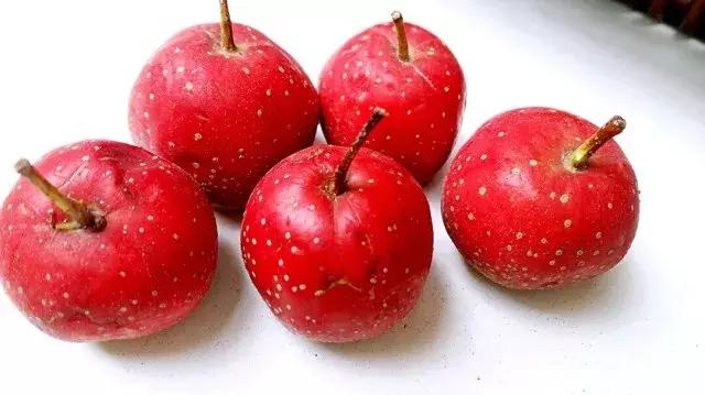 复方阿胶浆功效与作用及食用方法,复方阿胶浆不适宜人群