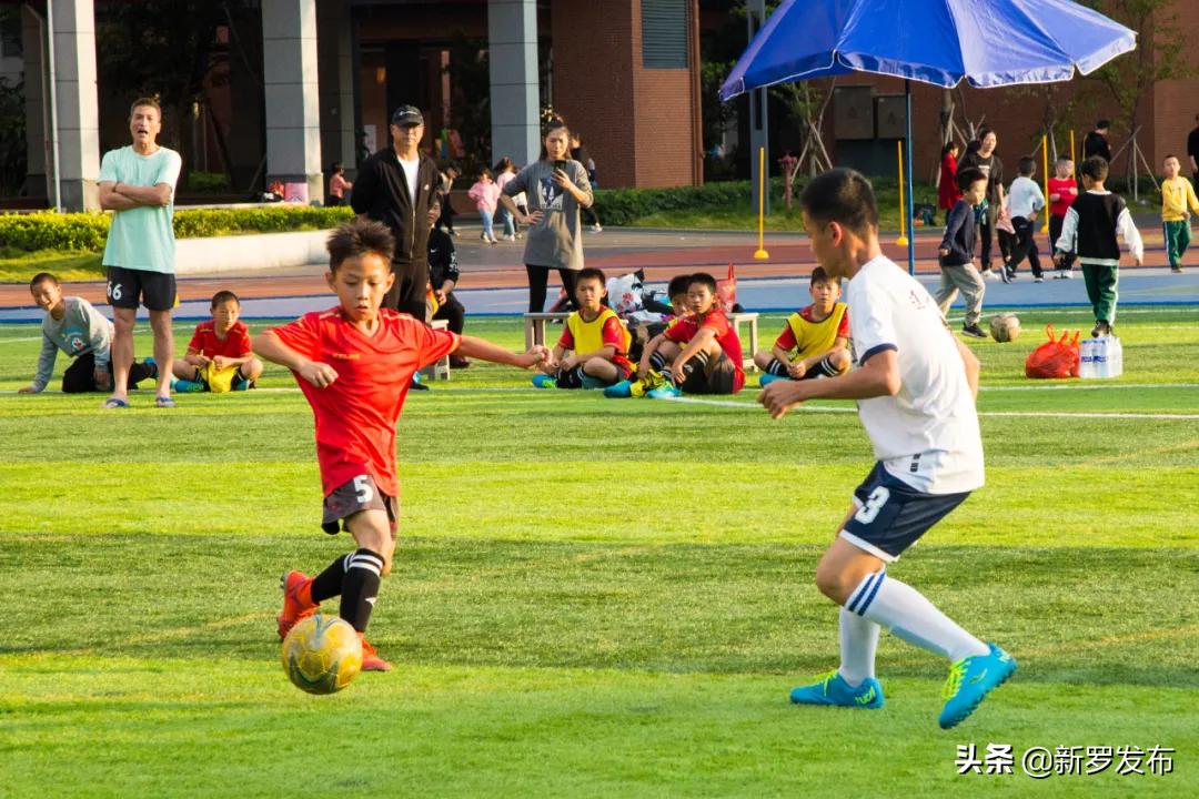 2021小学甲组足球联赛,2021莲池区中小学生足球联赛