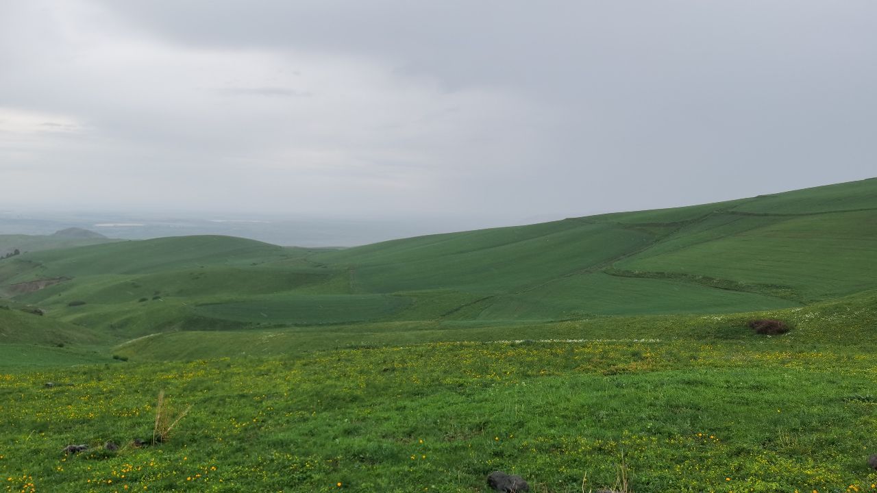 坐公共交通工具游新疆北疆攻略,从新疆坐大巴去俄罗斯