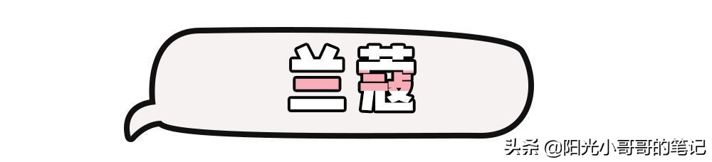 大牌美妆小样领取,各种大牌小样领取