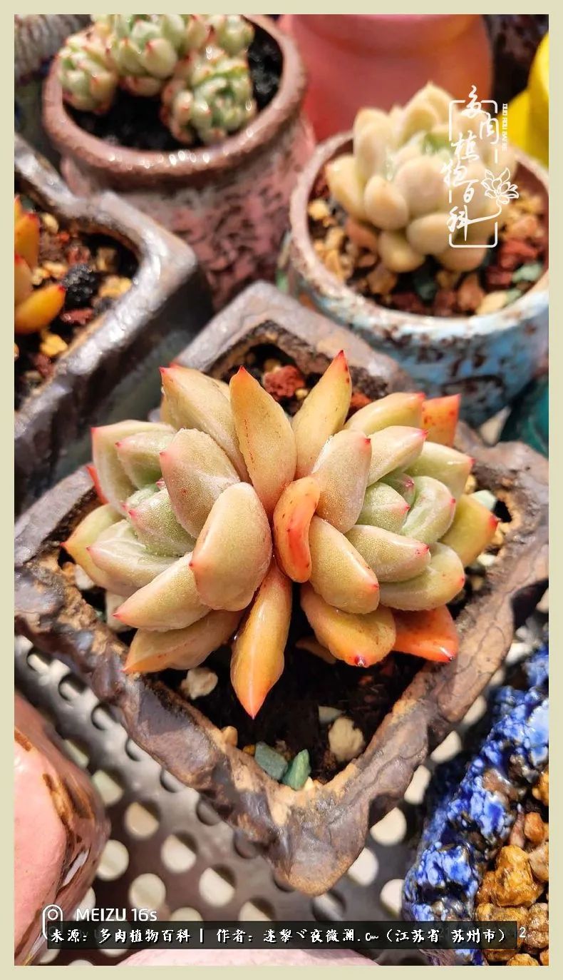 秋尽冬来岁月不居时节如流,岁月不居时节如流水