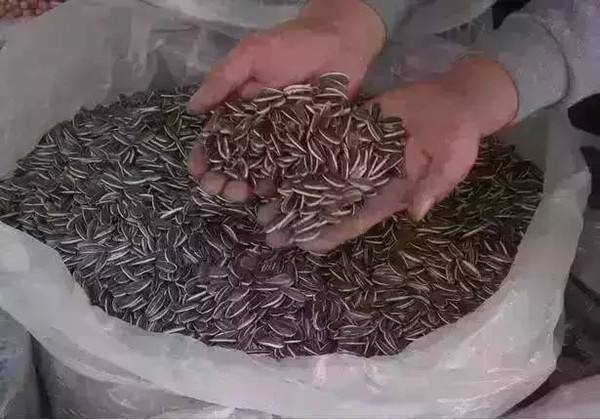 食品干燥剂性价比超高，攒一堆放家里，避免墙角潮湿