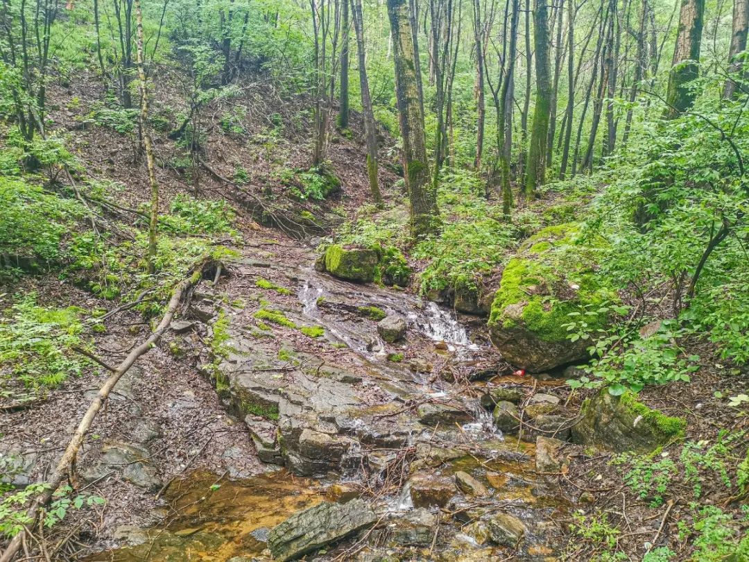徒步穿越北驼梁完整版,穿越花海古道游记