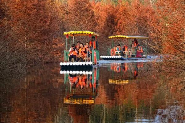 秋天的杭州自驾游,杭州秋冬自驾