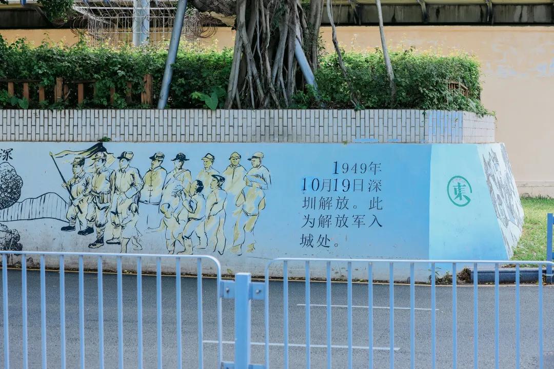 漫游东游西荡,漫游深圳城市