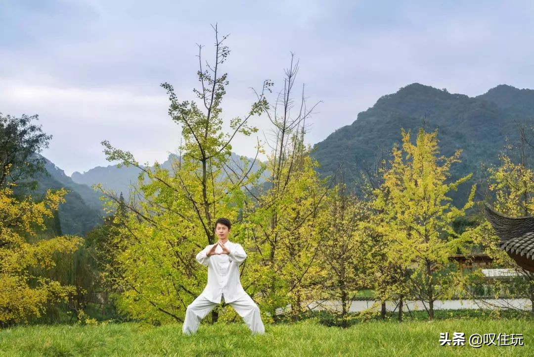 青城山六善酒店是哪个酒店旗下,青城山六善酒店禅意