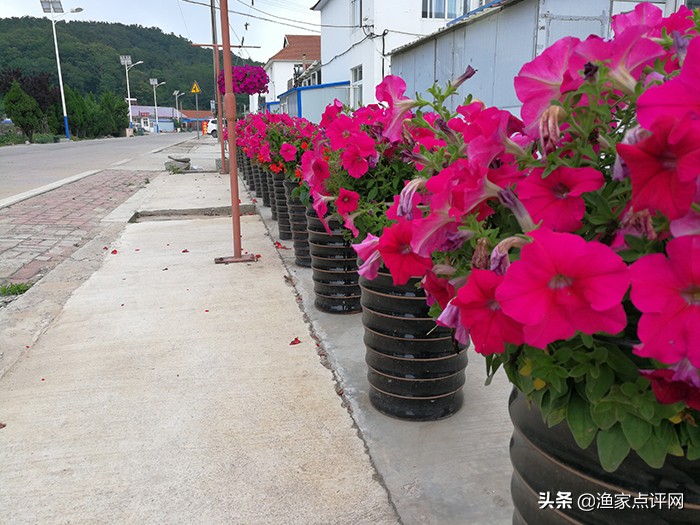 哈仙岛旅游攻略二日游,哈仙岛旅游攻略儿童