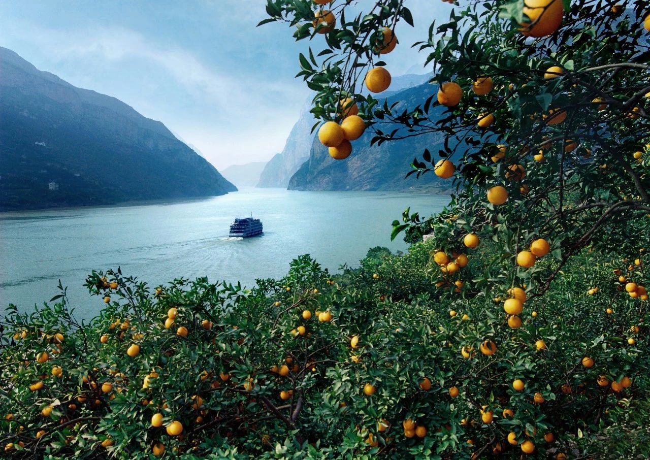 宜昌70岁以上老人免费景点,宜昌70岁高龄补贴