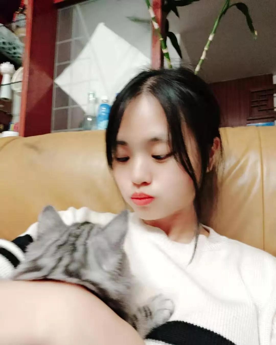 养猫后才知道爱是什么,养猫之后才知道原来只看猫睡觉