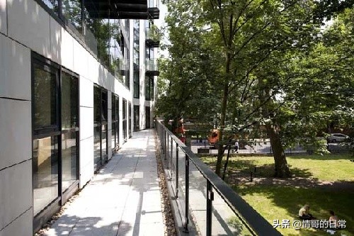 国外极简办公室,国外精致风格办公室