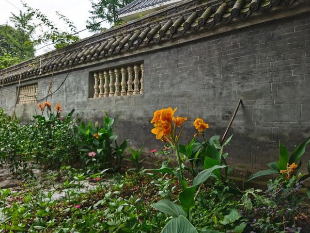 带妈妈去青城山避暑,陪父母游四川青城山