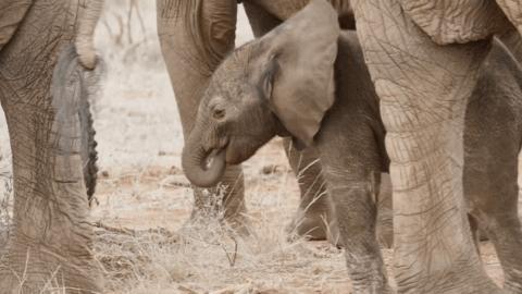 他们被杀之后，依然在爱你