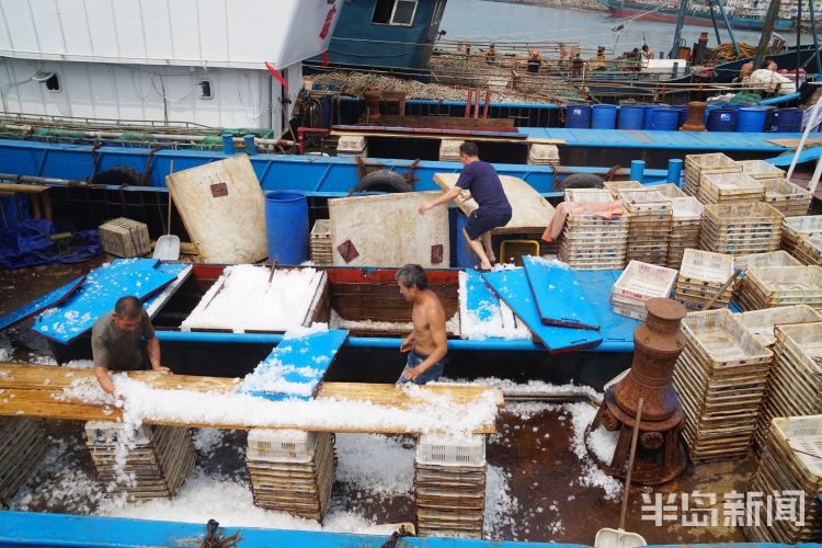 讨海赚钱吗,讨海一天能赚多少