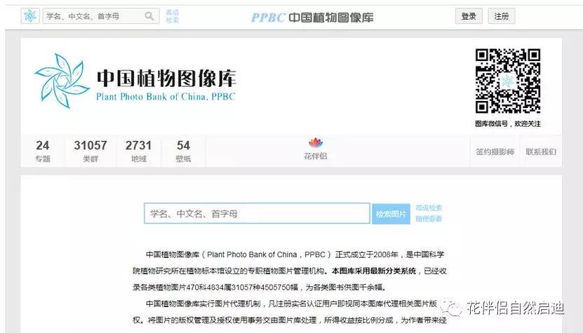 植物检索网站官网,植物检索表100种