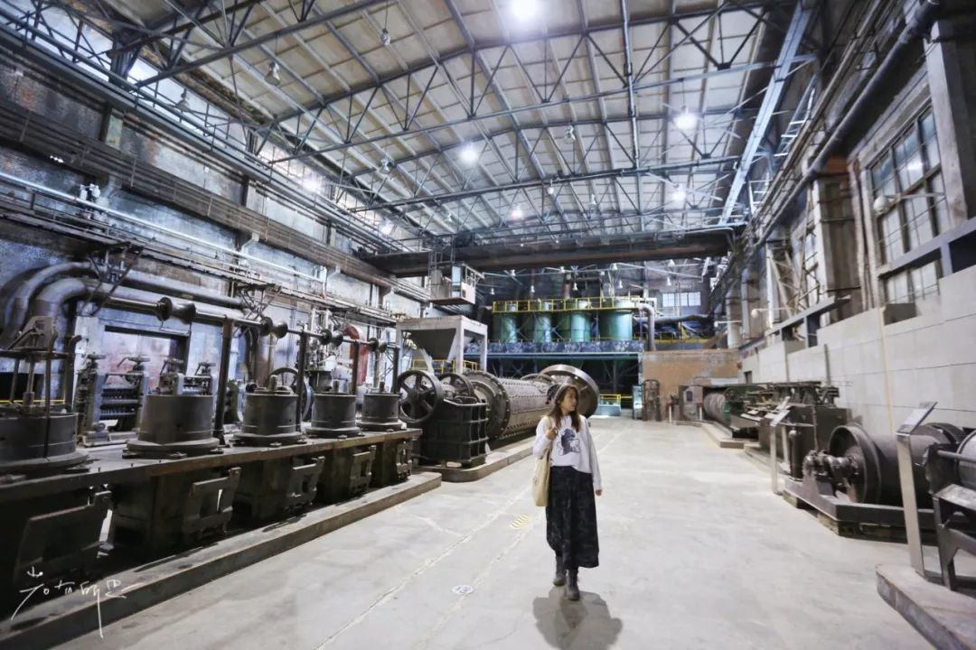 机票不到800元，第2次东北沈阳之旅，1个鸡架配老雪！