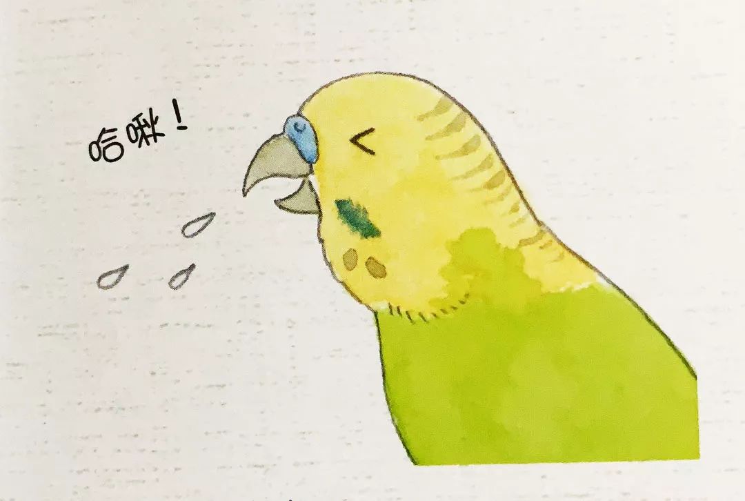 鹦鹉最害怕的四件事,鹦鹉看不见了是什么表现