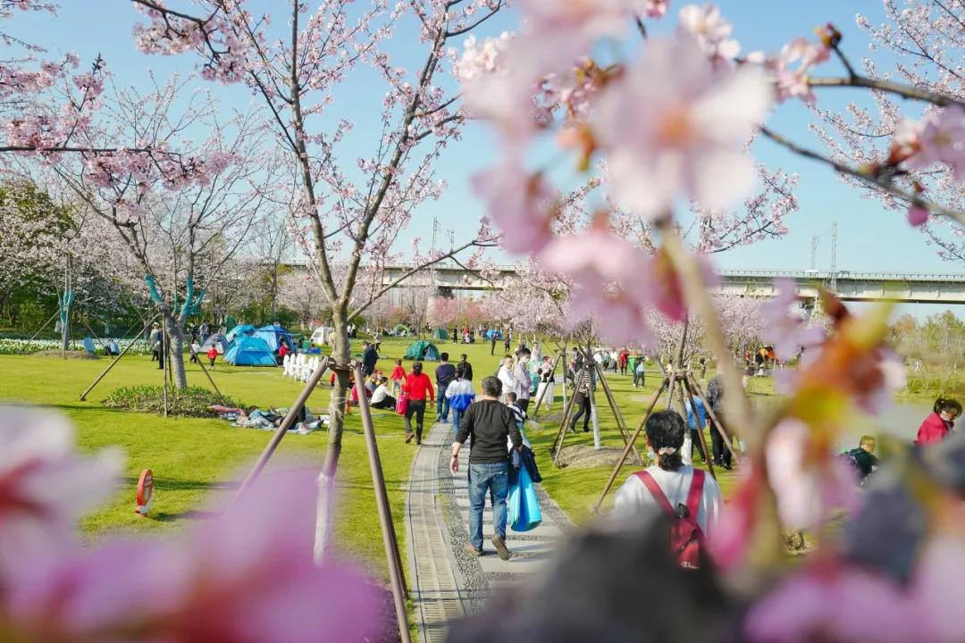 宁波周末走走,宁波旅游必去十大景点推荐自驾游