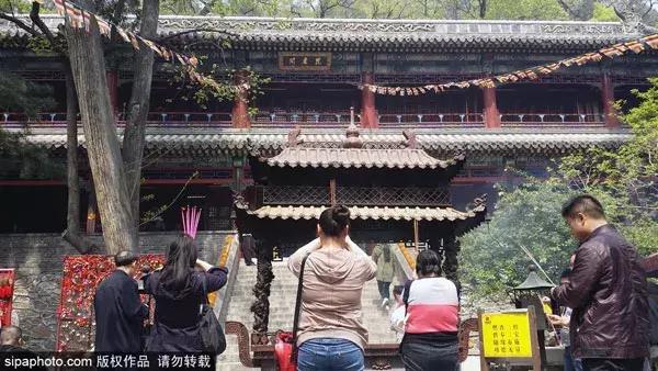 细赏颐和园之秋色冬韵,让我们看看冬日颐和园的美景