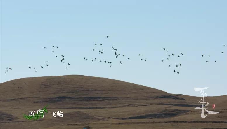 好听到起鸡皮疙瘩的英文歌,好听到起鸡皮疙瘩的翻唱歌曲