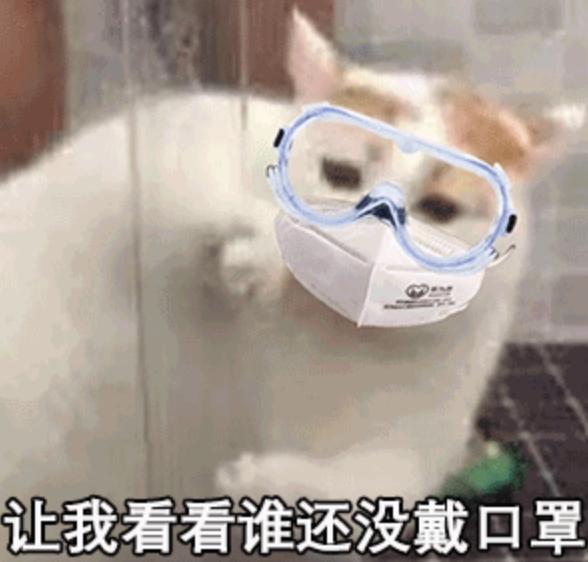 肾虚公子片段完整版,肾虚公子舞蹈