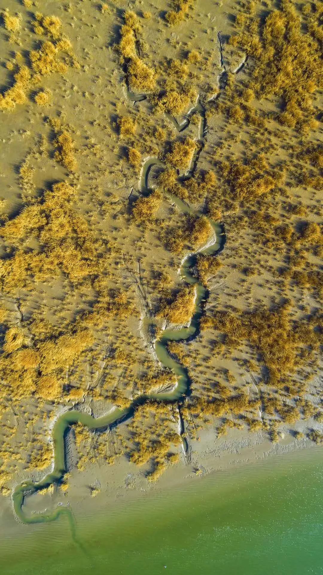山东这两座小城，集齐了所有令人向往的美景，超级适合自驾！