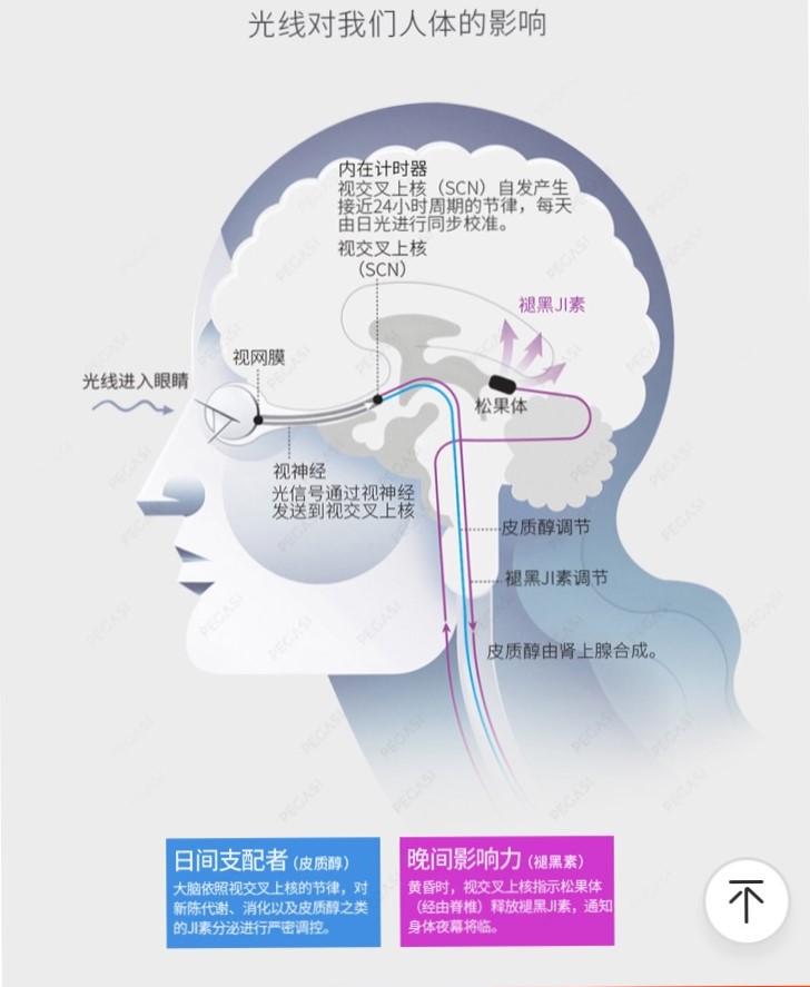 三招搞定宝宝睡觉颠倒黑白的问题,宝宝突然日夜颠倒睡觉怎么办