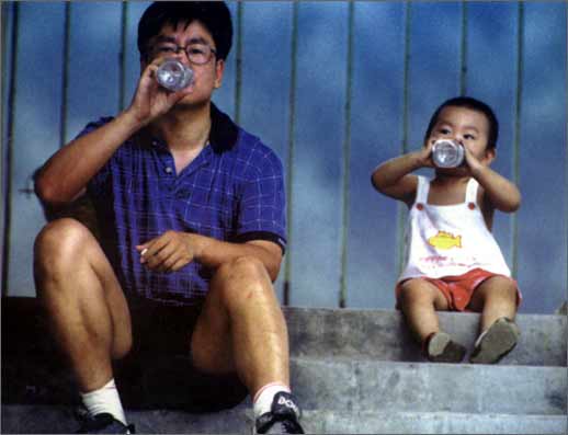 白岩松中国文化,白岩松河南什么样中国就什么样