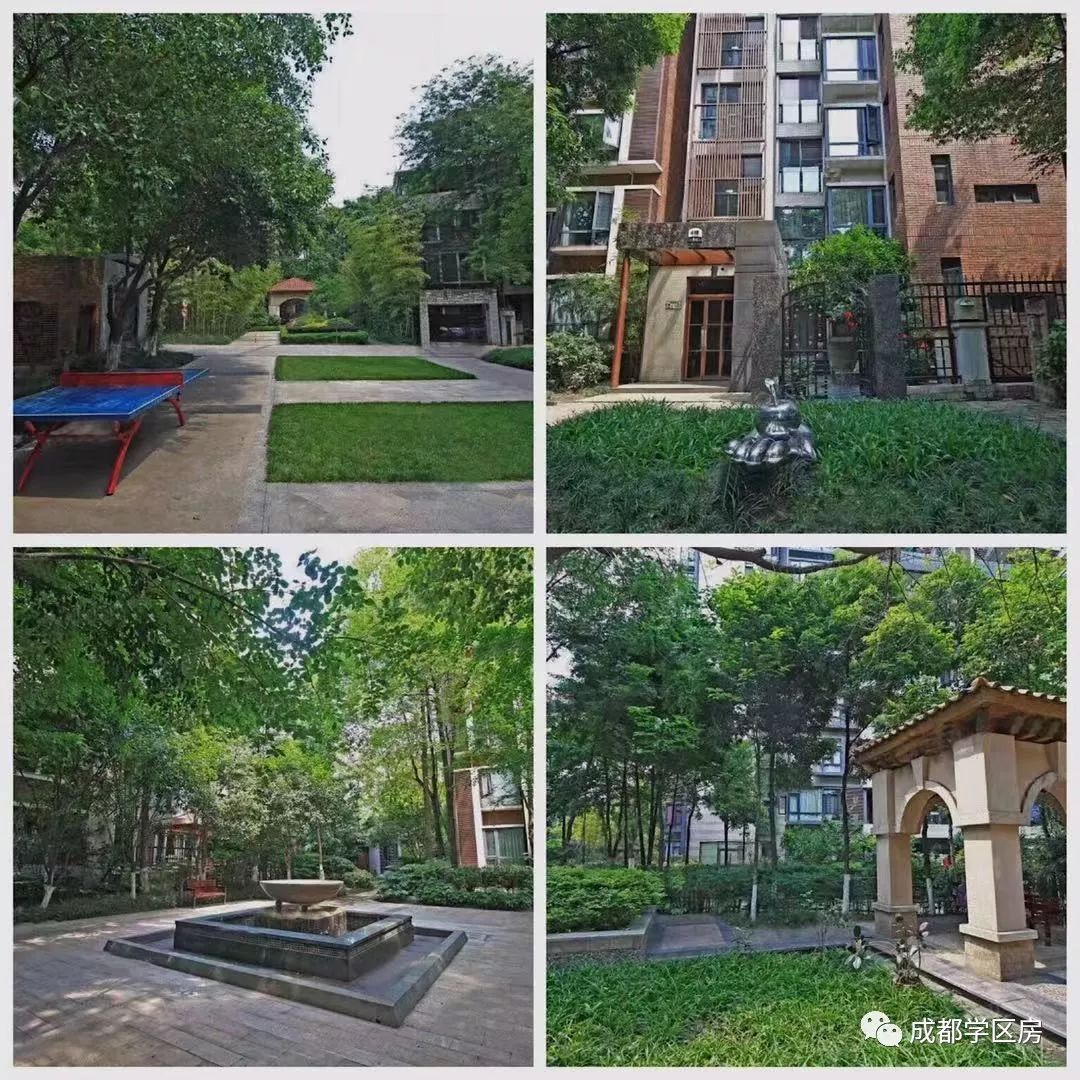 成师附小分校有哪些,成师附小哪个分校最好