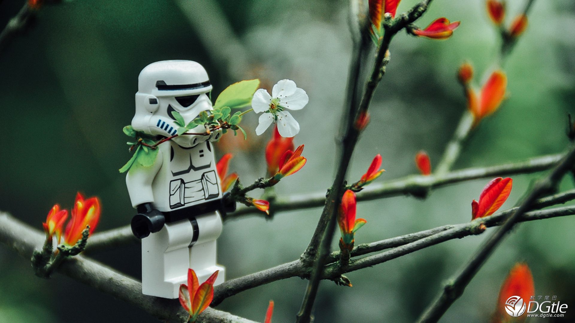 英国人爱争辩！瑞士人很高傲？意大利人爱享受？奥地利人工作狂