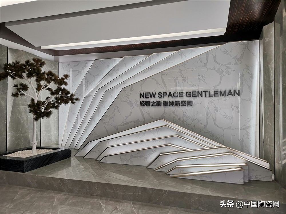 泛高安是什么,泛高安