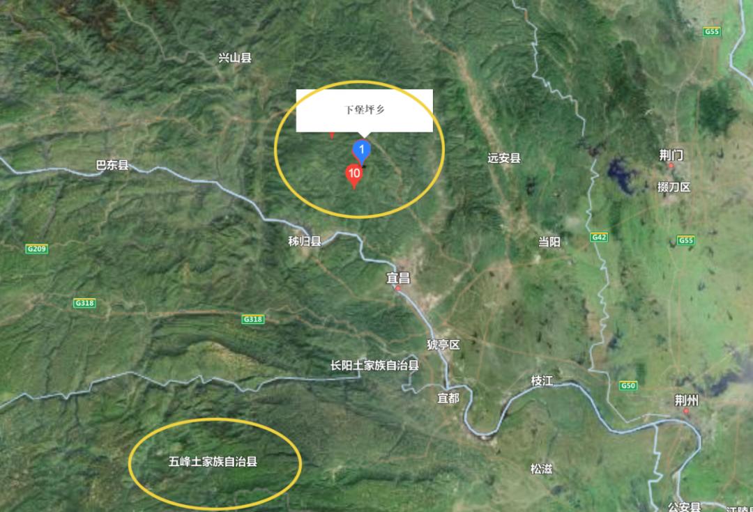 安徽道地药材天麻,天麻的道地药材