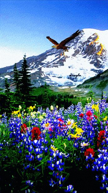 虫草山水画,四季花草山水画作品欣赏