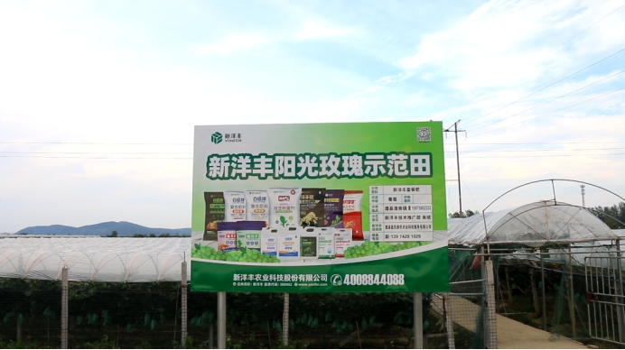 新洋丰农业项目,新洋丰绿色