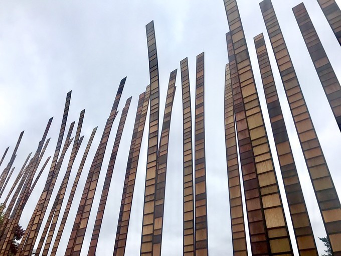 西雅图游记,西雅图游记奥林匹克国家公园