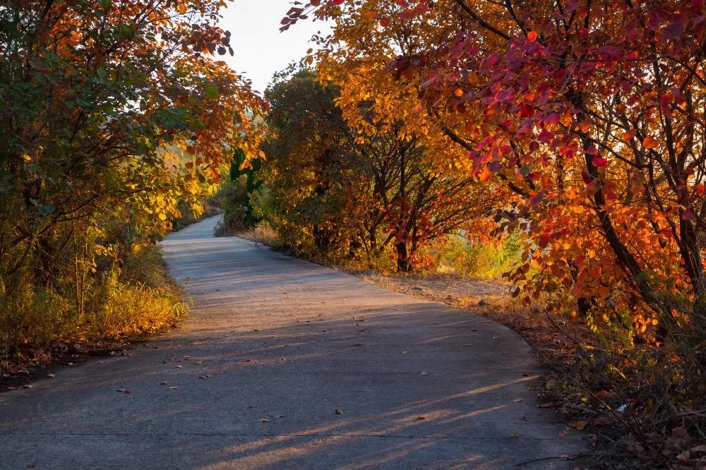 灵山秀水度深秋,灵山秀水堪称世外桃源