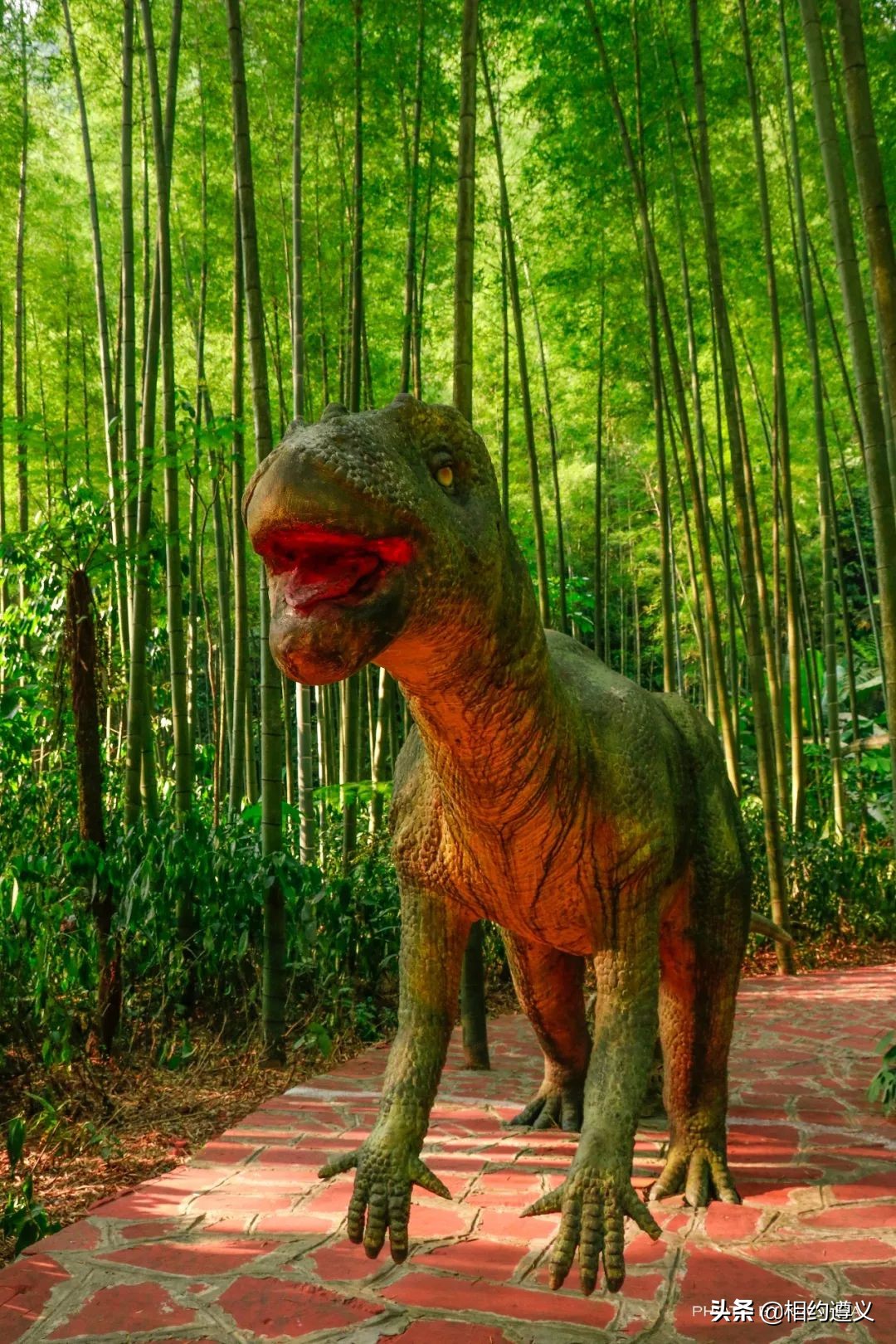 赤水大瀑布 侏罗纪公园 (贵州赤水侏罗纪公园攻略)