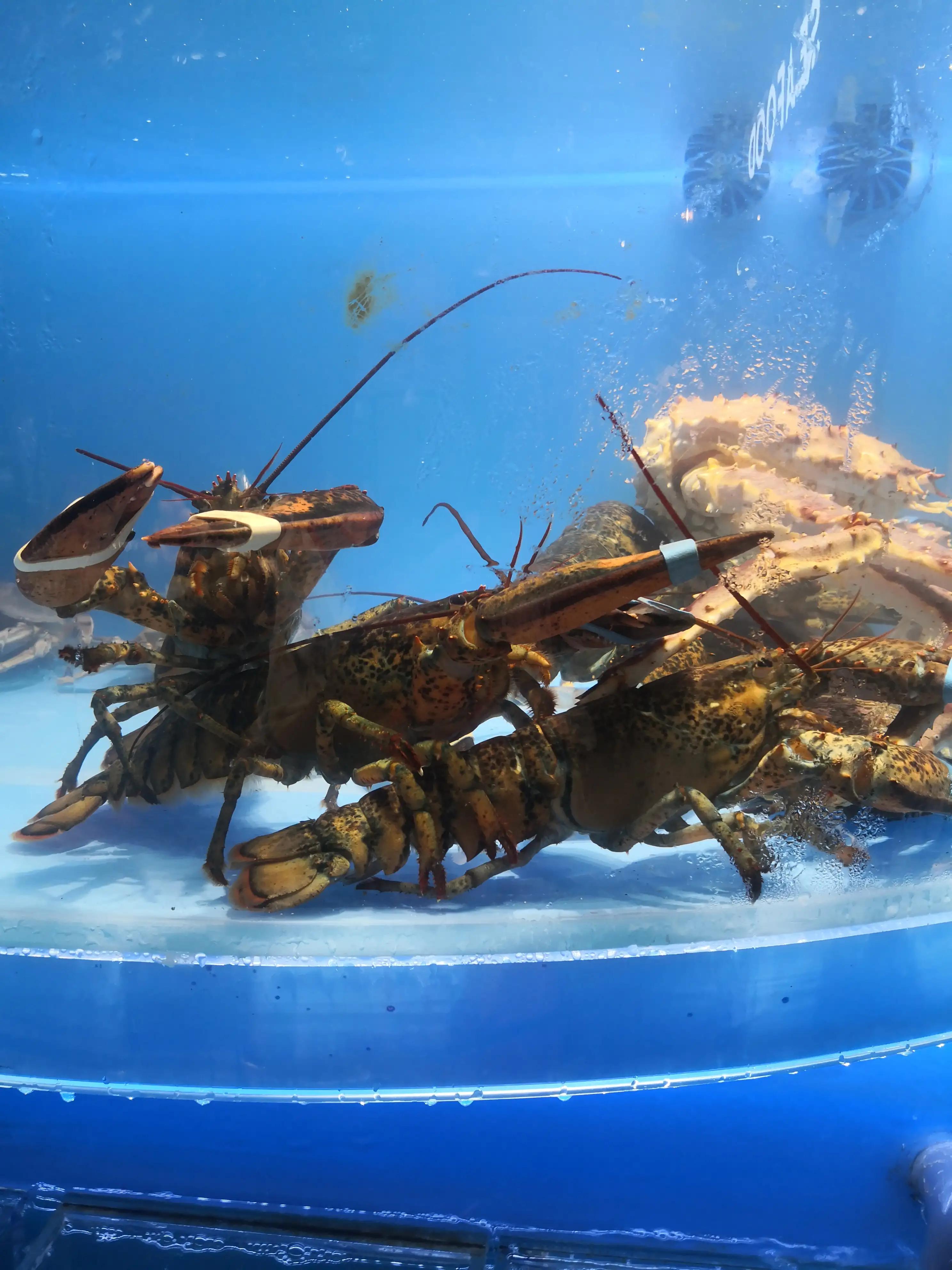 上海十大顶级奢侈品商场排名,上海最顶级的商场